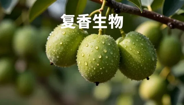 库存管理中的仓储保鲜检查要点分析
